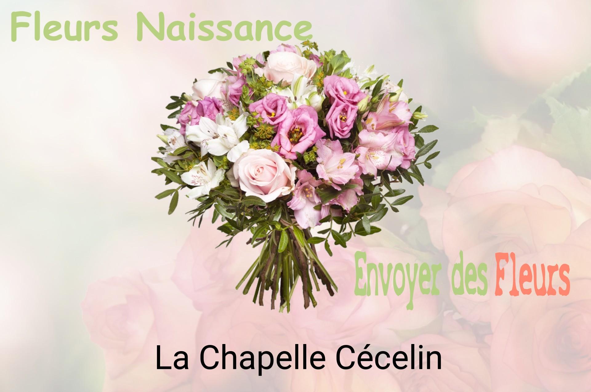 Bouquet de fleurs de naissance livré à La Chapelle-Cécelin